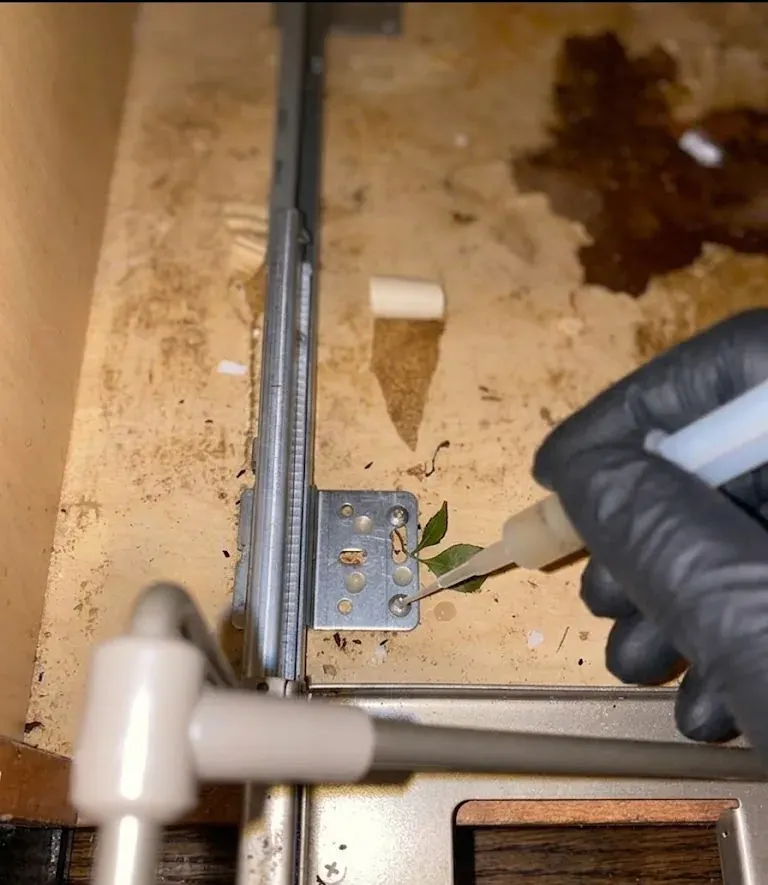 Eco-Friendly Pest Control service in Fayetteville, NC